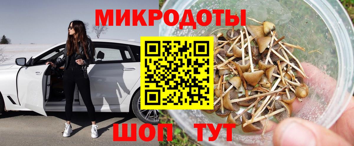Новодвинск  даркнет сайт  Вход с VPN  Галлюциногенные грибы MAGIC MUSHROOMS  Галлюциногенные грибы Psilocybe 